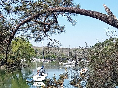 2025-04 Cornouaille Hélène B, détail sortie
