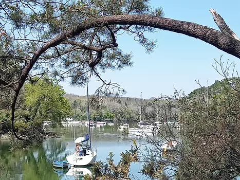2025-04 Cornouaille Hélène B, détail sortie