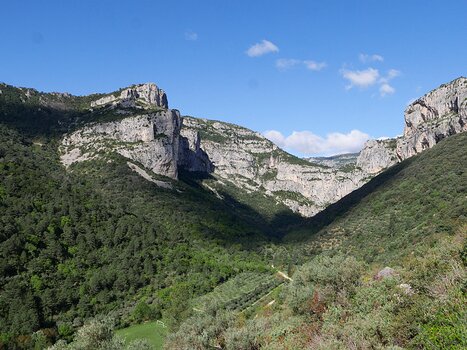 2025-04 Hérault Baptiste M, détail sortie