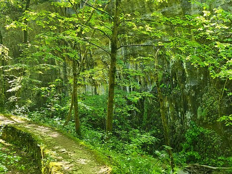 2025-05 Abruzzes Jean-Louis M, détail sortie