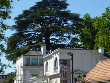 2025-05 Boissy-Saint-Léger Détail sortie