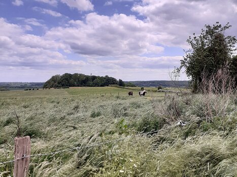 2025-05 Juziers Alice P, détail sortie