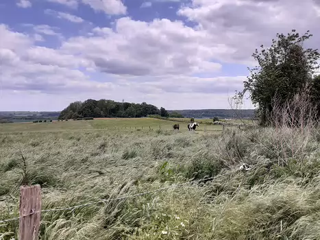 2025-05 Juziers Alice P, détail sortie