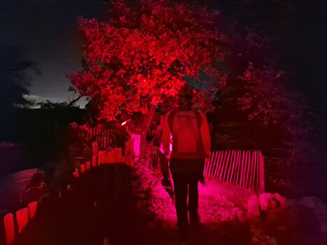 2025-10 Halloween Sophie B, détail sortie