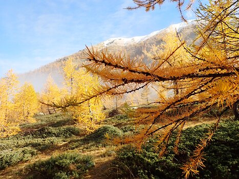 2025-10 Ubaye & Piemont Agnès B, Valérie B, Aude N, Alice P, Bernadette P, Xavier L, détail sortie