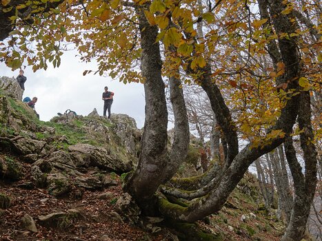 2025-10 Val d'Azun Philippe C, détail sortie