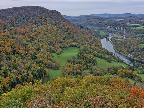 2025-10 Vallée du Doubs Nathalie J, détail sortie