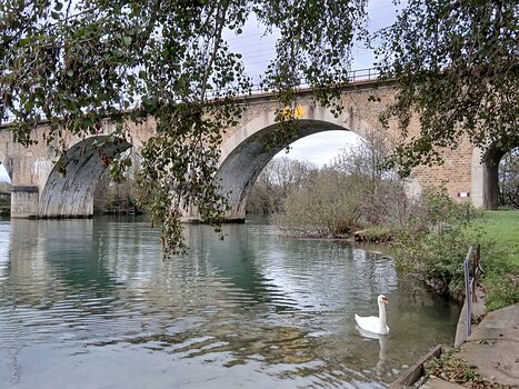 2025-11 Bords de Marne Jocelyne D, détail sortie