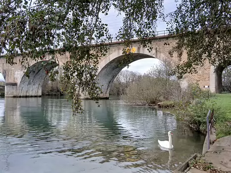 2025-11 Bords de Marne Jocelyne D, détail sortie