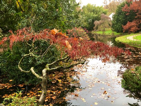 2025-11 Chatenay Malabry Hélène B, Marina F, détail sortie