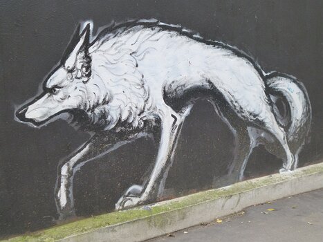 2025-11 Paris 20eme Dominique F, détail sortie