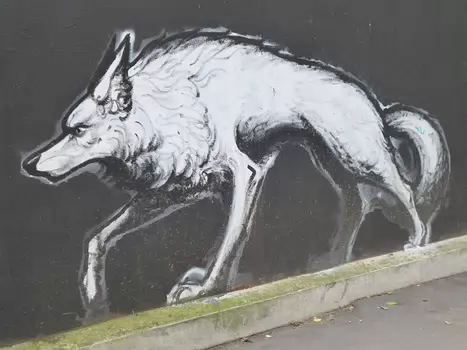 2025-11 Paris 20eme Dominique F, détail sortie