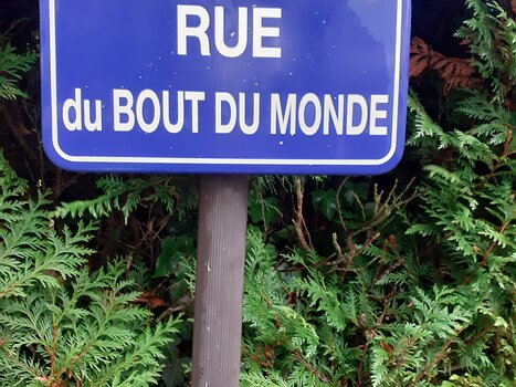 2025-11 Vilennes-sur-Seine Alice P, détail sortie