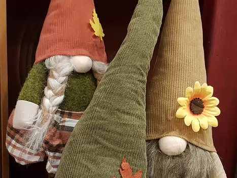 2026-01 Yvelines Isabelle P, Xavier G, détail sortie