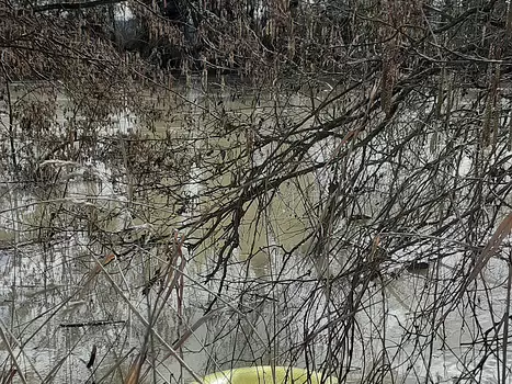 2026-02 Chamoust Ste-Aulde Alice P, détail sortie