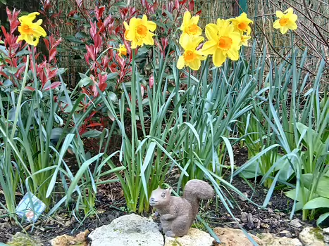 2026-03 Yvette Jocelyne D, détail sortie