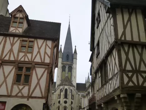 2026-04 Dijon Dominique F, détail sortie