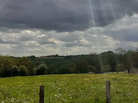 2026-04 Petit Morin Alice P, détail sortie