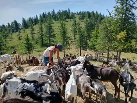 2026-09 La Roche-des-Arnauds Philippe D, détail sortie