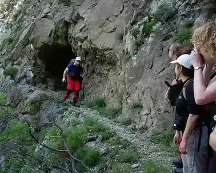 09 Ours des pyrénées sortant d'une grotte