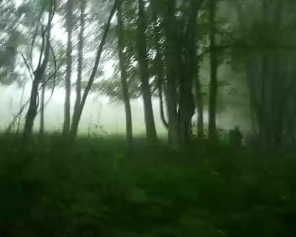 47 Randonneurs au fond des bois sous la pluie