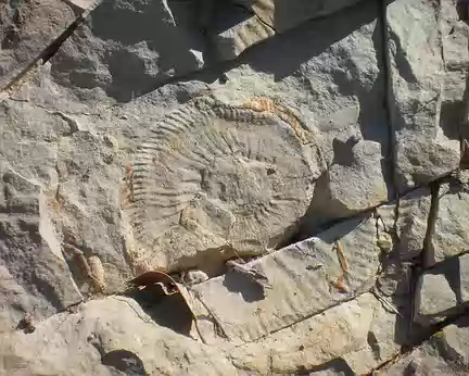 PXL062 empreinte d'ammonite au bord du sentier