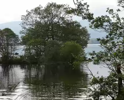 PXL013 Une île sur le Loch Lomond