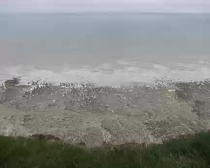 PXL027 Falaise calcaire rabotée par la mer jusqu'à son niveau