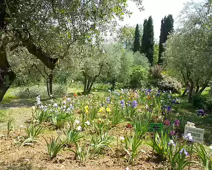 PXL256 Le Jardin des Iris ouvert pendant la floraison en mai.