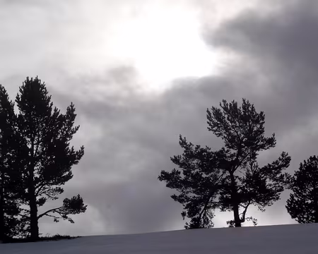 05 près de Montaillou