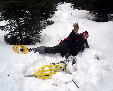 13 compatible initiation qu ils disaient