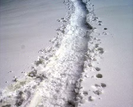 19 La première trace de l'année