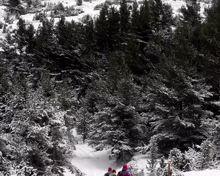 20 vers la forêt de Plaine-Comus