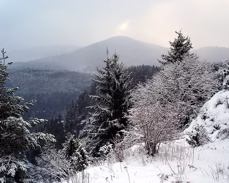 21 presque une éclaircie