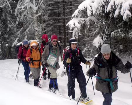 34z2200 Pour neiger, il neige !