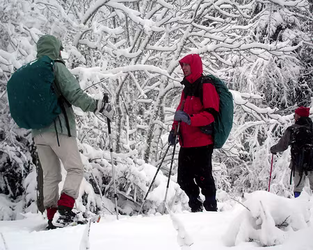 40 encore et toujours, la neige