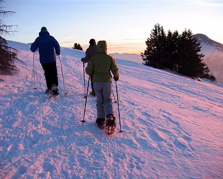 20 DEPART POUR LA SORTIE NOCTURNE