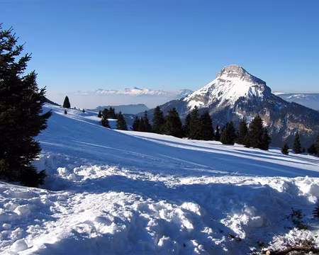 31 LE CHAMECHAUDE AU SOLEIL LEVANT