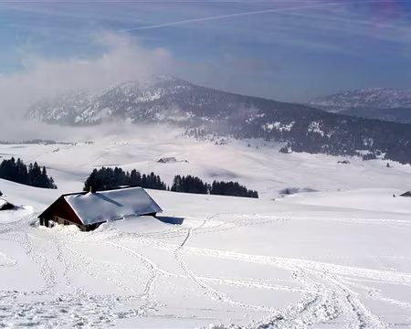 005 Le Plateau de Glières