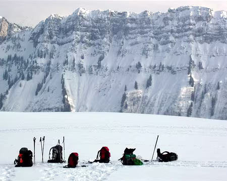 020 Ben, ils sont où?