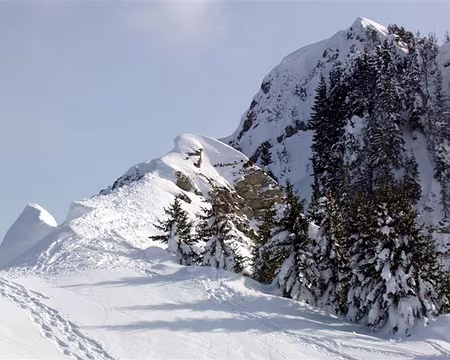 031 C'est tout droit en bas...