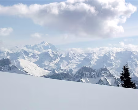 040 Arrivée au sommet du Crépon de Montoulivert