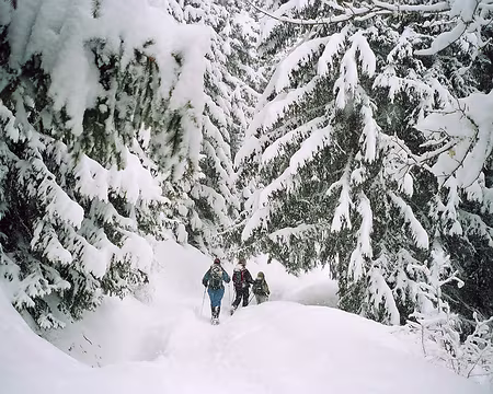 07 et c’est parti pour faire la trace