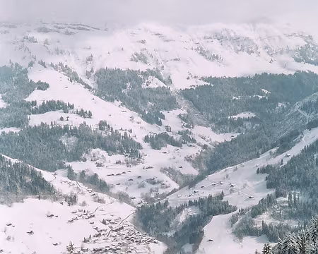 10 Tiens ! Un rayon de soleil !