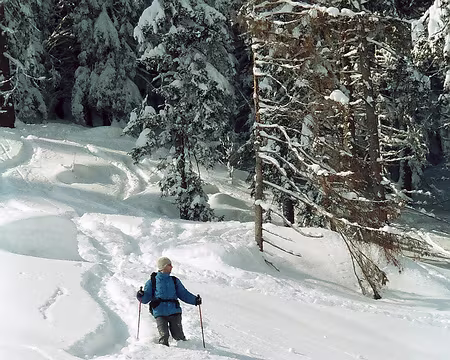 15 La neige d’hier (et des jours précédents) est profonde