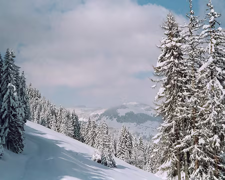25 Allez, on finit par un dernier coup d’œil sur la montagne.