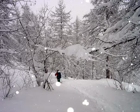 09 elle est belle, la forêt enneigée...