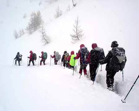 15 grosse chute de neige dans la nuit...
