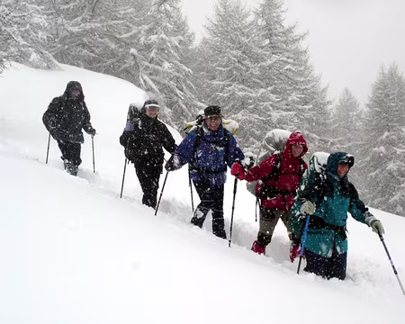 20 mais le moral est élevé...