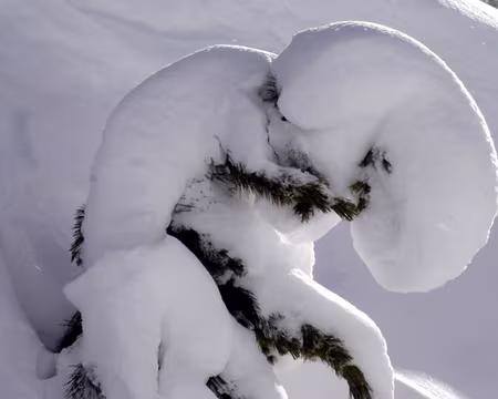 38 beaucoup de neige partout